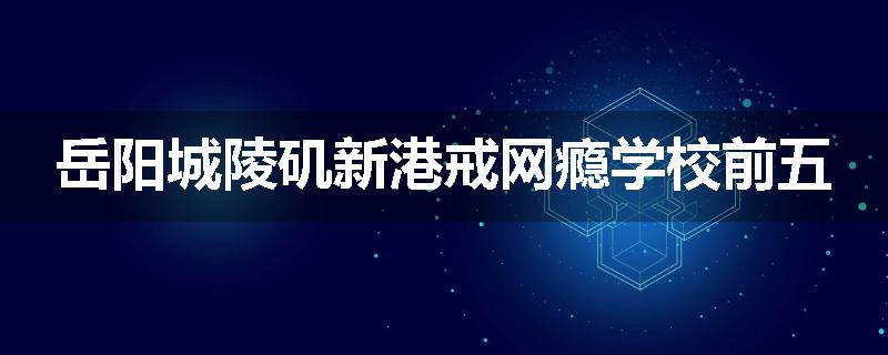 岳阳城陵矶新港戒网瘾学校前五