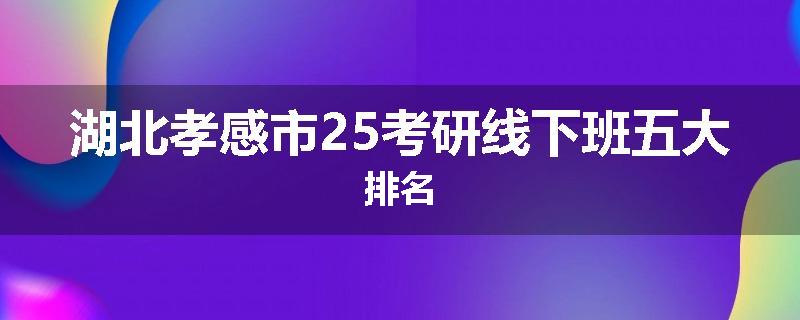 湖北孝感市25考研线下班五大排名