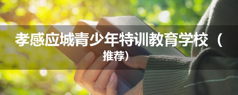 孝感应城青少年特训教育学校（推荐）