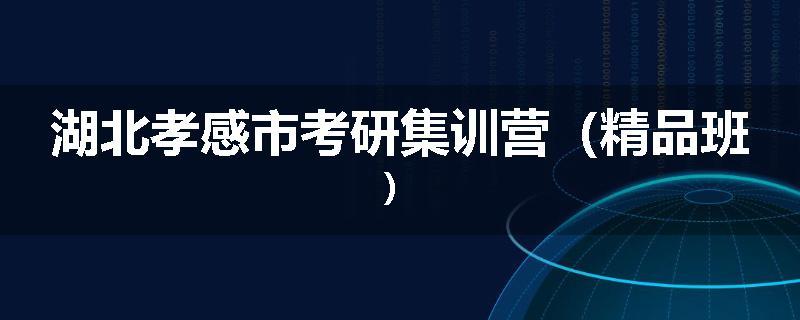 湖北孝感市考研集训营（精品班）