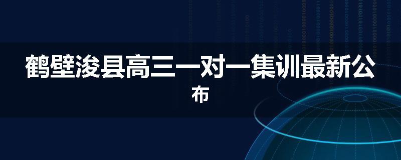 鹤壁浚县高三一对一集训最新公布
