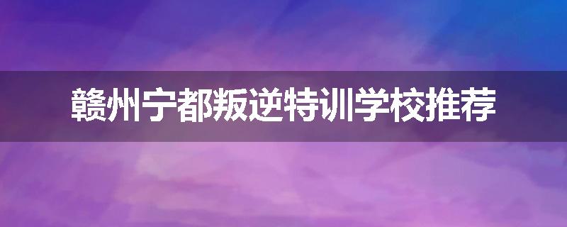 赣州宁都叛逆特训学校推荐