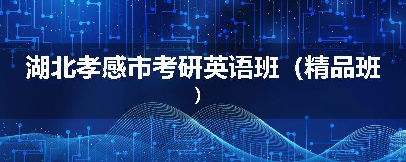 湖北孝感市考研英语班（精品班）