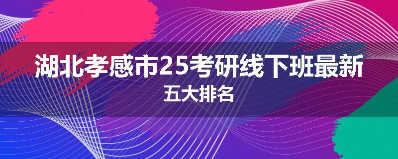 湖北孝感市25考研线下班最新五大排名