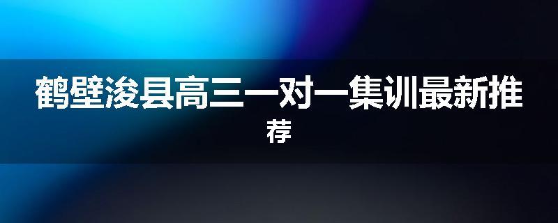 鹤壁浚县高三一对一集训最新推荐