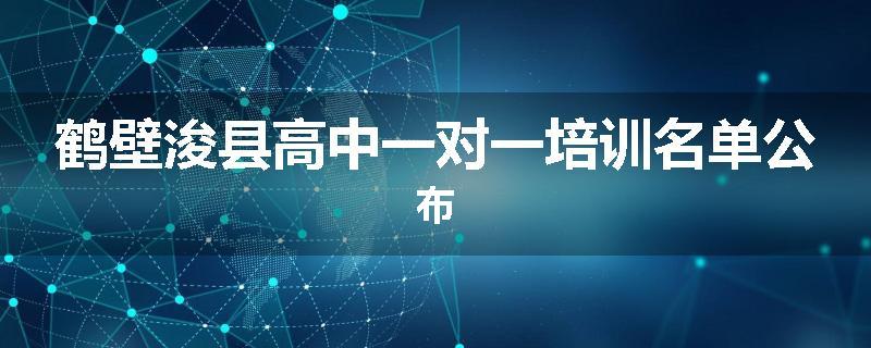 鹤壁浚县高中一对一培训名单公布