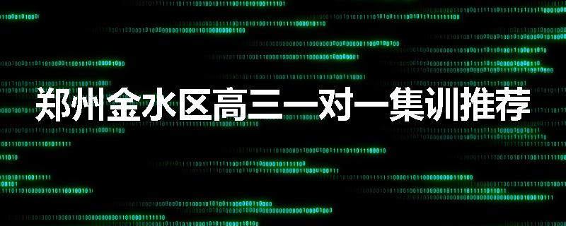 郑州金水区高三一对一集训推荐