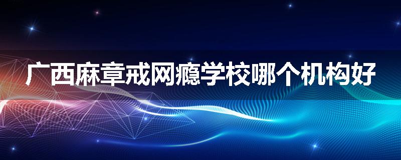 广西麻章戒网瘾学校哪个机构好