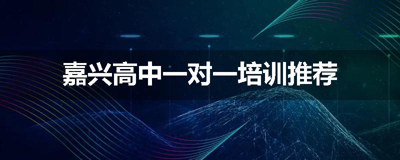 嘉兴高中一对一培训推荐