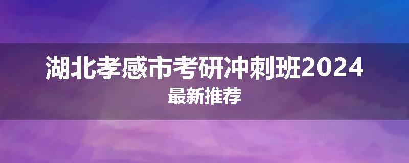 湖北孝感市考研冲刺班2024最新推荐