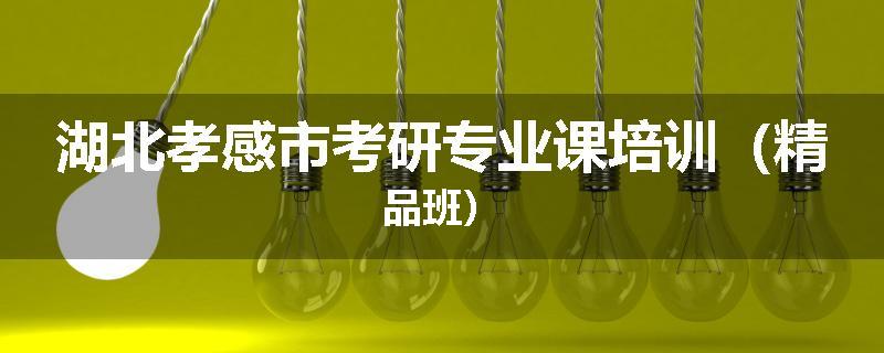 湖北孝感市考研专业课培训（精品班）