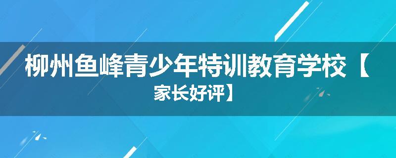 柳州鱼峰青少年特训教育学校【家长好评】