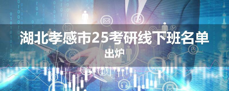 湖北孝感市25考研线下班名单出炉