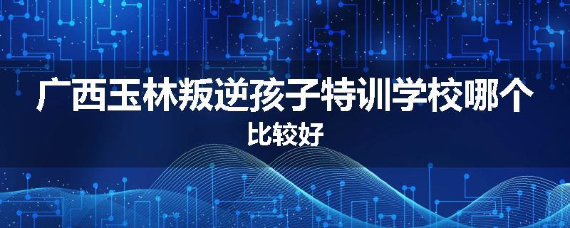 广西玉林叛逆孩子特训学校哪个比较好
