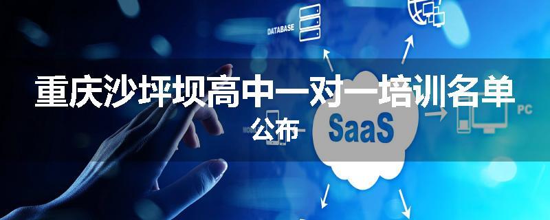 重庆沙坪坝高中一对一培训名单公布