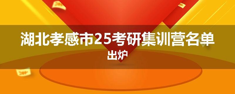 湖北孝感市25考研集训营名单出炉