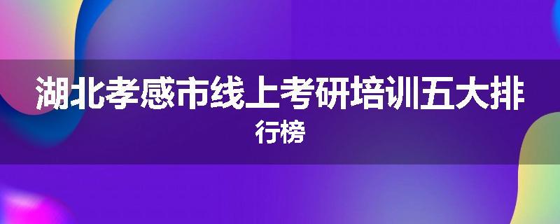 湖北孝感市线上考研培训五大排行榜