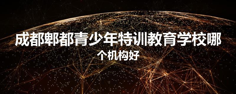 成都郫都青少年特训教育学校哪个机构好
