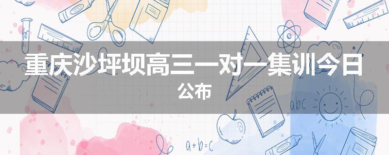 重庆沙坪坝高三一对一集训今日公布