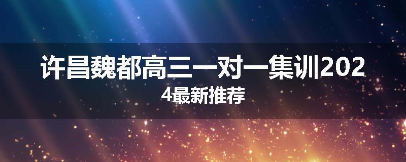 许昌魏都高三一对一集训2024最新推荐