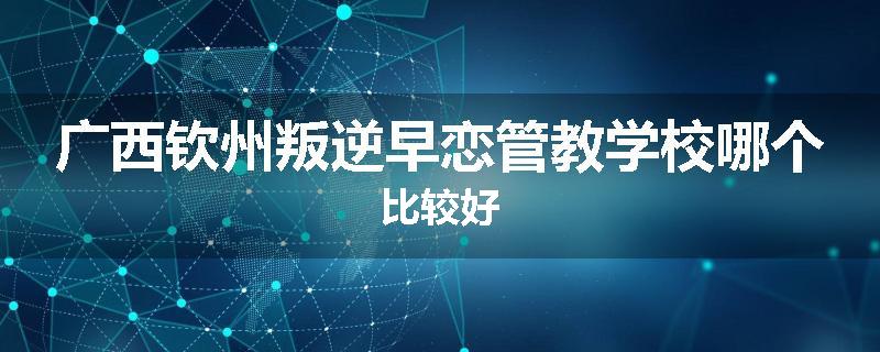 广西钦州叛逆早恋管教学校哪个比较好