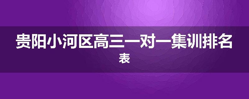 贵阳小河区高三一对一集训排名表
