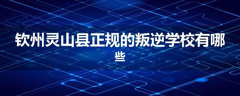 钦州灵山县正规的叛逆学校有哪些