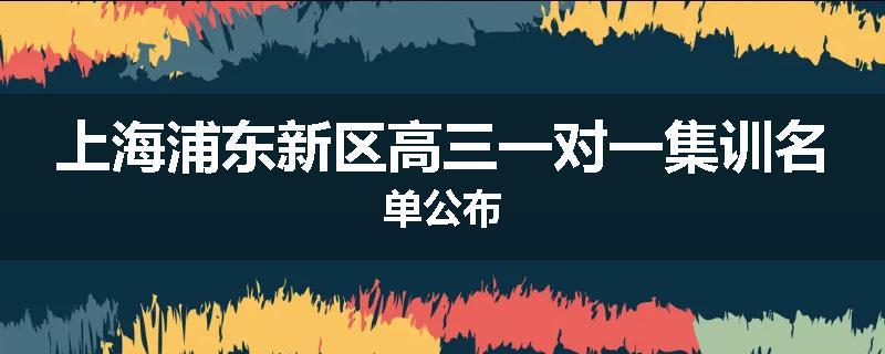 上海浦东新区高三一对一集训名单公布