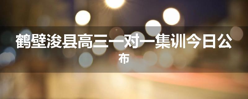 鹤壁浚县高三一对一集训今日公布