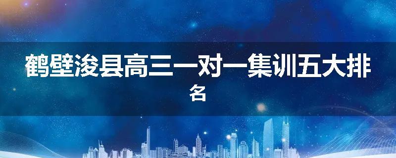 鹤壁浚县高三一对一集训五大排名