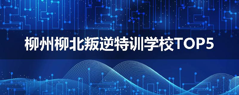 柳州柳北叛逆特训学校TOP5