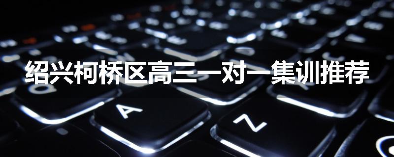 绍兴柯桥区高三一对一集训推荐
