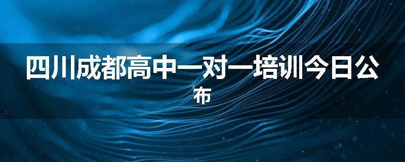 四川成都高中一对一培训今日公布