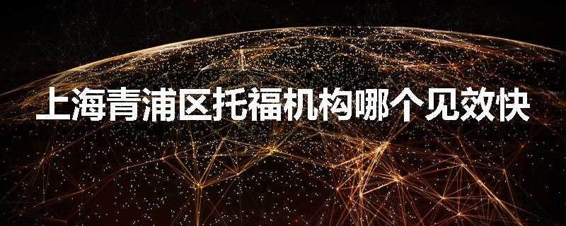 上海青浦区托福机构哪个见效快