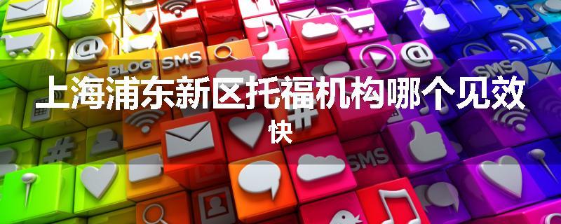 上海浦东新区托福机构哪个见效快
