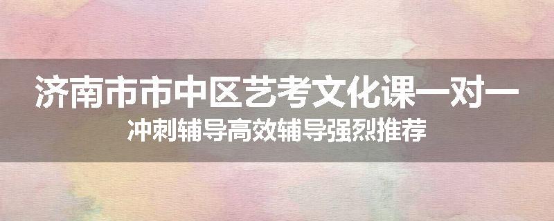 济南市市中区艺考文化课一对一冲刺辅导高效辅导强烈推荐