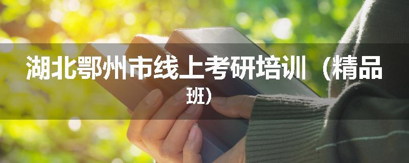 湖北鄂州市线上考研培训（精品班）