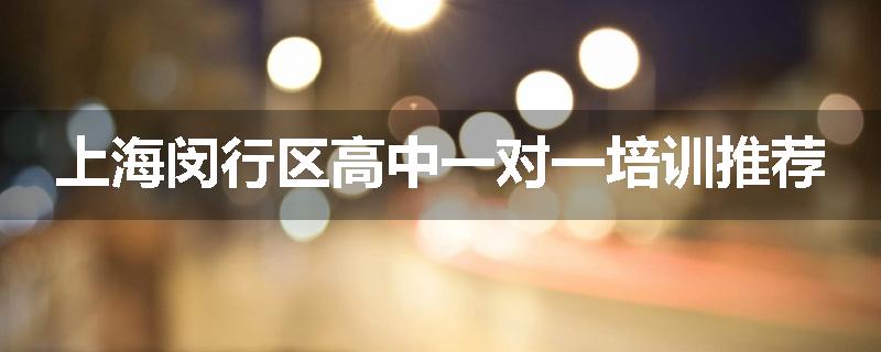 上海闵行区高中一对一培训推荐