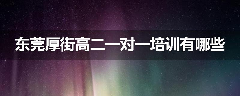 东莞厚街高二一对一培训有哪些
