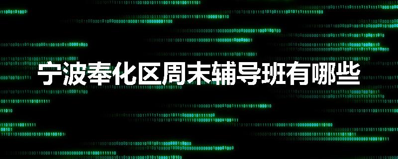 宁波奉化区周末辅导班有哪些