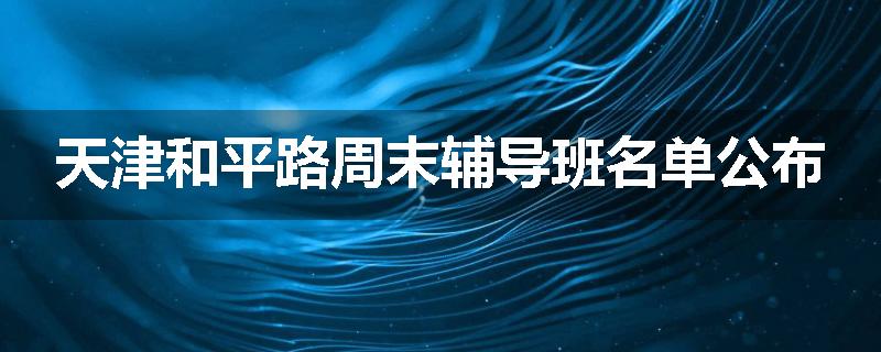 天津和平路周末辅导班名单公布