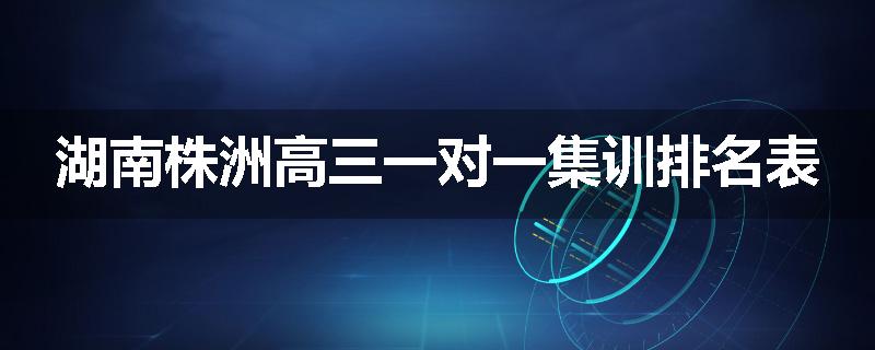 湖南株洲高三一对一集训排名表
