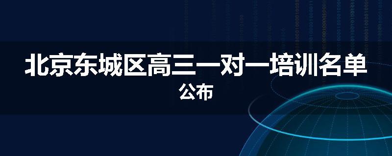 北京东城区高三一对一培训名单公布