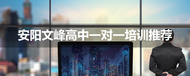 安阳文峰高中一对一培训推荐