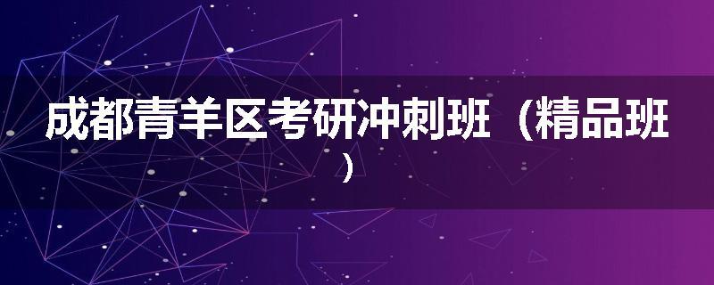成都青羊区考研冲刺班（精品班）