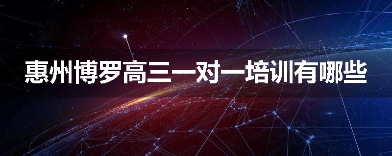 惠州博罗高三一对一培训有哪些