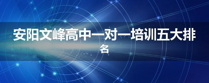 安阳文峰高中一对一培训五大排名
