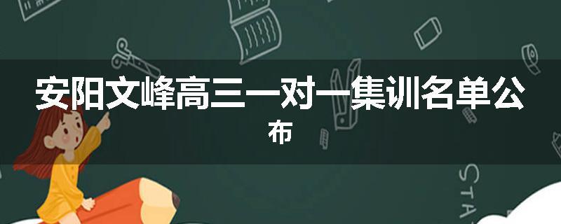 安阳文峰高三一对一集训名单公布