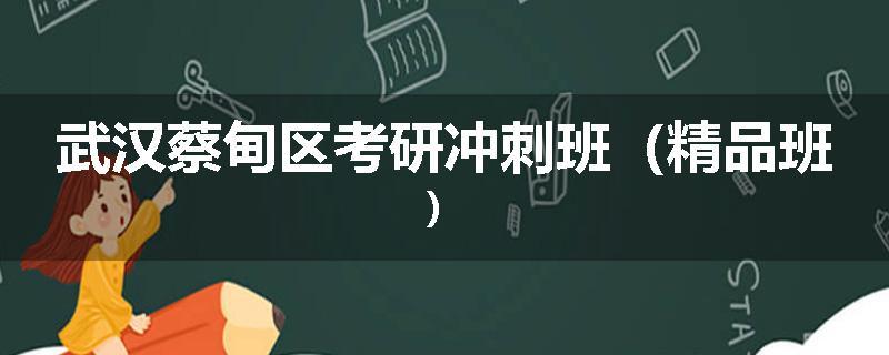 武汉蔡甸区考研冲刺班（精品班）