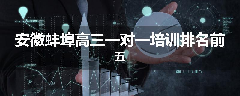 安徽蚌埠高三一对一培训排名前五